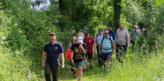 14. Kalletaler Wandertag am Fronleichnamstag: Alle Infos zu „Willer wandert“ 2026
