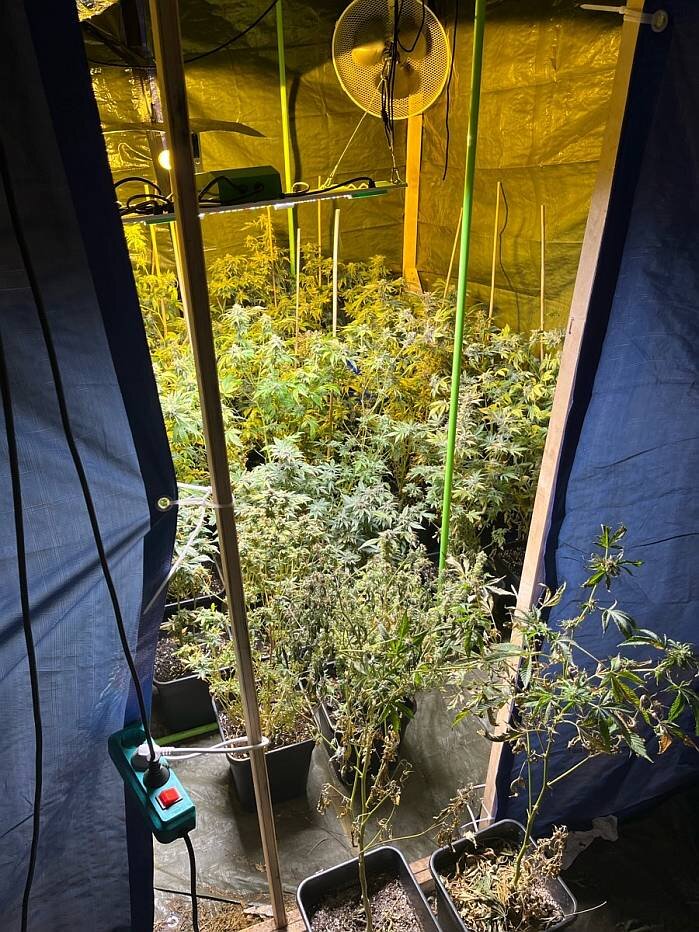 Ein Streit führt in Bielefeld zur überraschenden Entdeckung einer Cannabis-Plantage