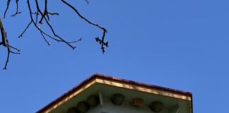 GrĂŒne Infrastruktur: Schwalben- und Fledermaushaus in Veldrom bietet Unterschlupf