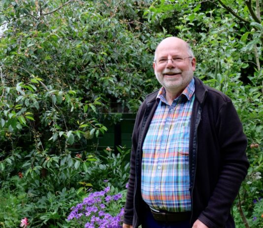 Gefahr im Anflug: Warum die Asiatische Hornisse Imkern in Lippe Sorgen macht