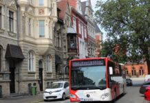 Hermannsdenkmal bleibt per Bus erreichbar: Linie 782 fährt an Wochenenden