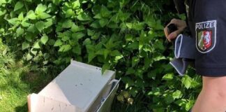 Mysteriöser Fund: Tresor am Bielefelder Obersee entdeckt