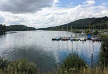 Badeverbot: Blaualgen im Schiedersee nachgewiesen