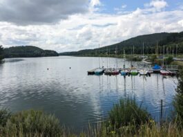 Badeverbot: Blaualgen im Schiedersee nachgewiesen