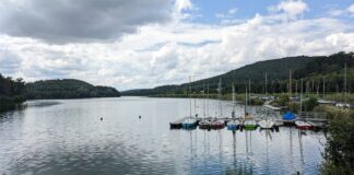 Badeverbot: Blaualgen im Schiedersee nachgewiesen