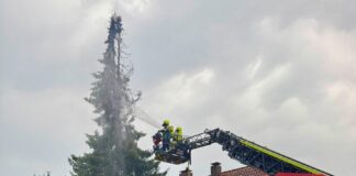 Detmold: Blitzeinschlag setzt Tanne in Brand