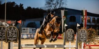 Holter Reitertage 2026: Sommerturnier des Zucht-, Reit- und Fahrvereins Schloß Holte