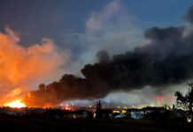 Großbrand in Partnerstadt Oraiokastro: Deutsch-Griechischer Freundeskreis Detmold tief betroffen