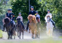 Reitsport im Kalletal: Offenes Sportturnier für Islandpferde begeistert Zuschauer
