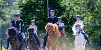 Reitsport im Kalletal: Offenes Sportturnier für Islandpferde begeistert Zuschauer