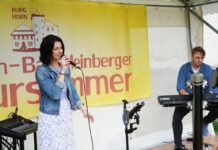 Horn: 20. Lange Kulturnacht lockt an die Burg