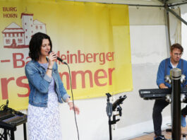Horn: 20. Lange Kulturnacht lockt an die Burg