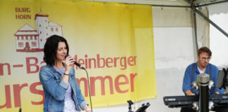 Horn: 20. Lange Kulturnacht lockt an die Burg