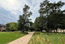 Neues Herzstück der Innenstadt: Detmold weiht Schloßplatz ein