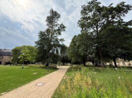 Neues Herzstück der Innenstadt: Detmold weiht Schloßplatz ein