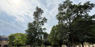 Neues Herzstück der Innenstadt: Detmold weiht Schloßplatz ein
