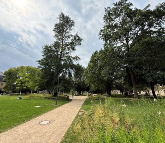 Neues Herzstück der Innenstadt: Detmold weiht Schloßplatz ein