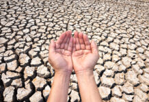 Niedrige Wasserstände im Kreis Lippe: Verzicht auf Wasserentnahme