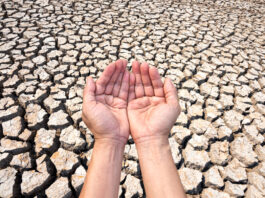 Niedrige Wasserstände im Kreis Lippe: Verzicht auf Wasserentnahme