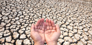 Niedrige Wasserstände im Kreis Lippe: Verzicht auf Wasserentnahme