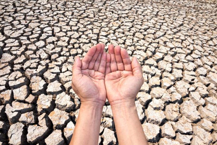 Two Hand on dry soil,waiting for rain. Concept drought.
