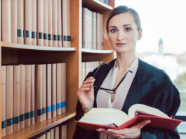 Mehr Anwältinnen, neue Schwerpunkte: Analyse zeigt Wandel der Anwaltschaft – Detmold unter Bundesschnitt