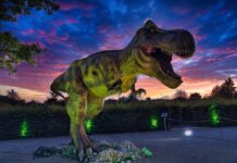 Höxter wird zum „Jurassic Park“: „DinoLichter“ kommen nach OWL