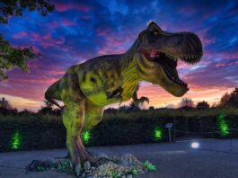 Höxter wird zum „Jurassic Park“: „DinoLichter“ kommen nach OWL