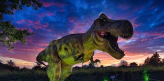 Höxter wird zum „Jurassic Park“: „DinoLichter“ kommen nach OWL