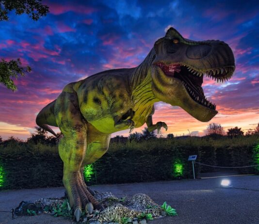 Höxter wird zum „Jurassic Park“: „DinoLichter“ kommen nach OWL