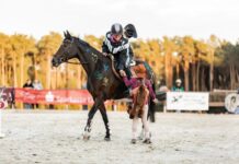 Drei Tage Reitsport und Familienprogramm: „Lipperreiher Reitertage“ 2026
