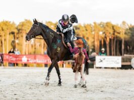 Drei Tage Reitsport und Familienprogramm: „Lipperreiher Reitertage“ 2026