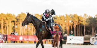 Drei Tage Reitsport und Familienprogramm: „Lipperreiher Reitertage“ 2026