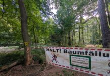 K59-Sperrung bei Alverdissen: Bauarbeiten für Radweg für Verkehrssicherung genutzt
