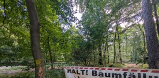 K59-Sperrung bei Alverdissen: Bauarbeiten für Radweg für Verkehrssicherung genutzt