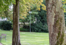 Horn-Bad Meinberg: Kurpark vor Wiedereröffnung