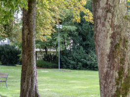 Horn-Bad Meinberg: Kurpark vor Wiedereröffnung