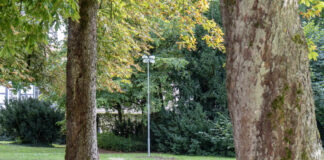 Horn-Bad Meinberg: Kurpark vor Wiedereröffnung