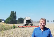 Erntesaison 2026 im Kreis Lippe: Hitzesommer kostet Landwirte rund 20 Prozent Ertrag