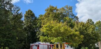 Burg Coppenbrügge: Toter Mann im Wassergraben entdeckt