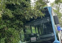 Linienbus landet nach Ausweichmanöver im Graben: Sechs Kinder in Salzkotten verletzt