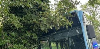 Linienbus landet nach Ausweichmanöver im Graben: Sechs Kinder in Salzkotten verletzt