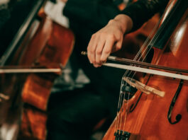 Leopoldshöhe: WDR-Funkhausorchester bringt tropische Klänge nach Lippe