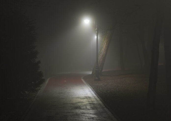 lantern lights on the road in the forest in the fog