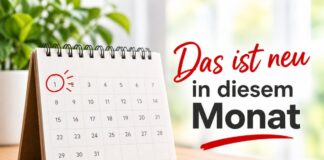 Neuer Monat, neue Regeln: Das ändert sich im Oktober