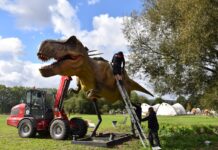 T-Rex im Archäologiepark: 28 animierte Dinos verwandeln Höxter in Urzeitwelt