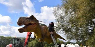 T-Rex im Archäologiepark: 28 animierte Dinos verwandeln Höxter in Urzeitwelt