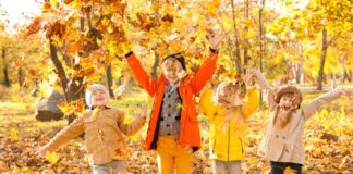 Wohin in den Herbstferien? Lippe wird zum Erlebnis