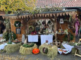Lügde: Elbrinxen freut sich auf Martini-Markt 2026