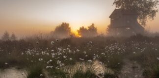 Neue Ausstellung in Bad Salzuflen: Fotografien zeigen heimische Natur im Wandel